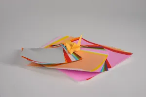 Assorted Color Paper