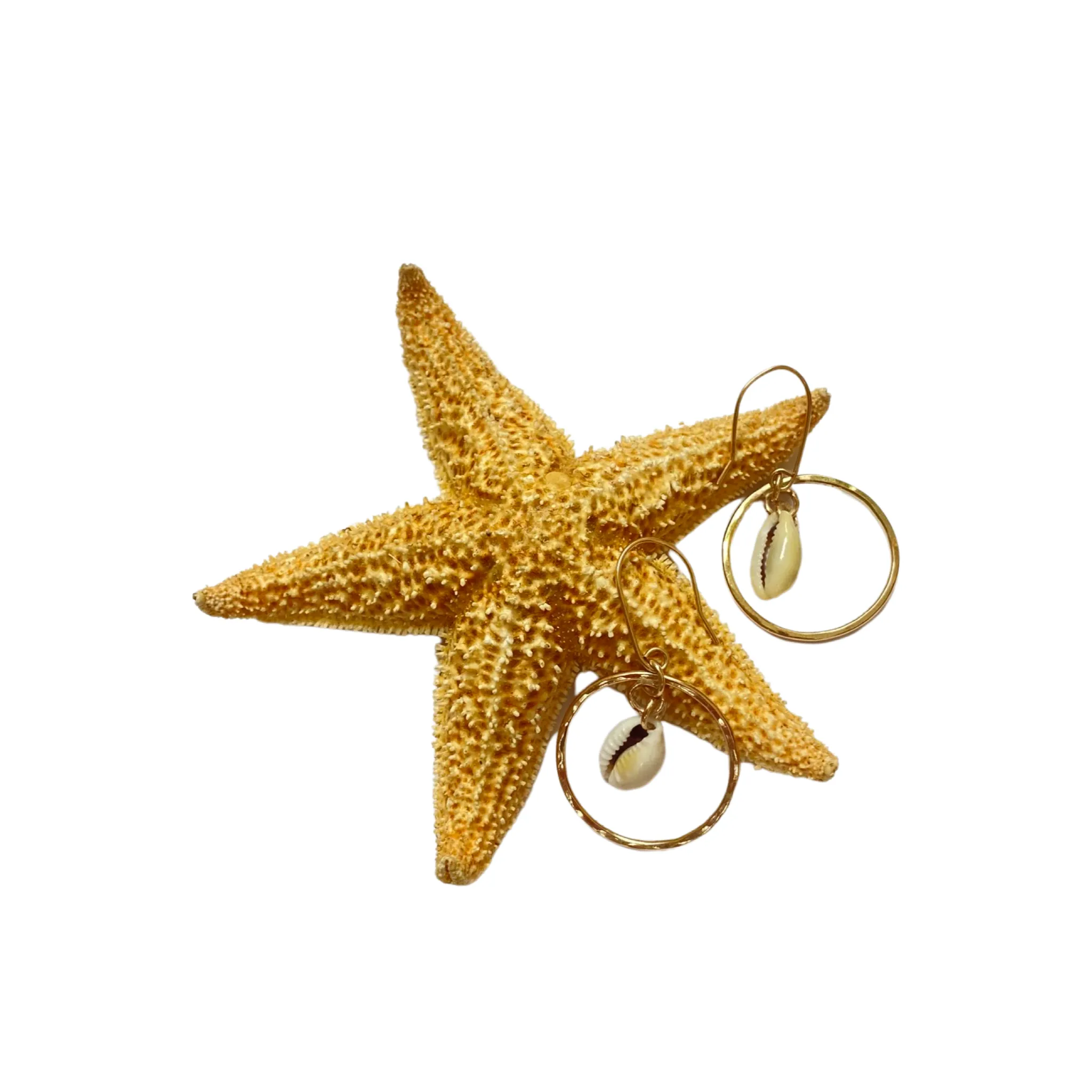 Gold Hoop Cowrie Earrings