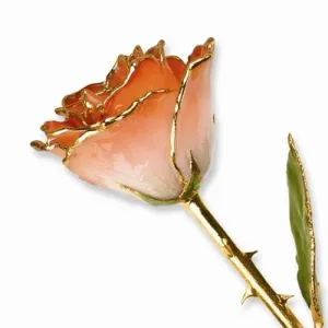 Lacquer Coated White & Orange Rose Dipped in Gold
