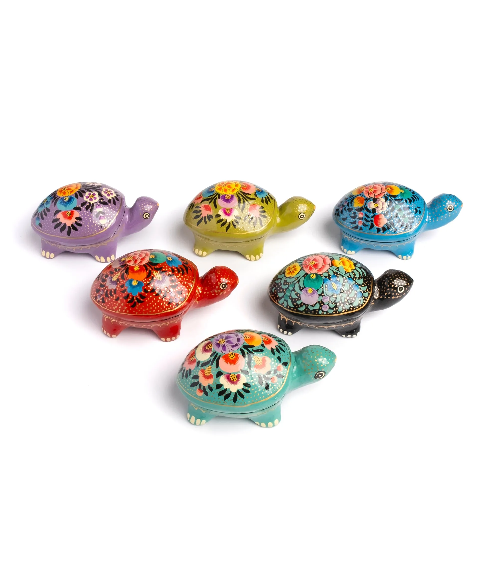 Paradise Turtle Box Assorted (Set of 6)