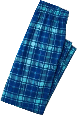 "Dear Santa They are The Naughty Ones" Slogan Printed Blue Plaid Family Matching Pajamas