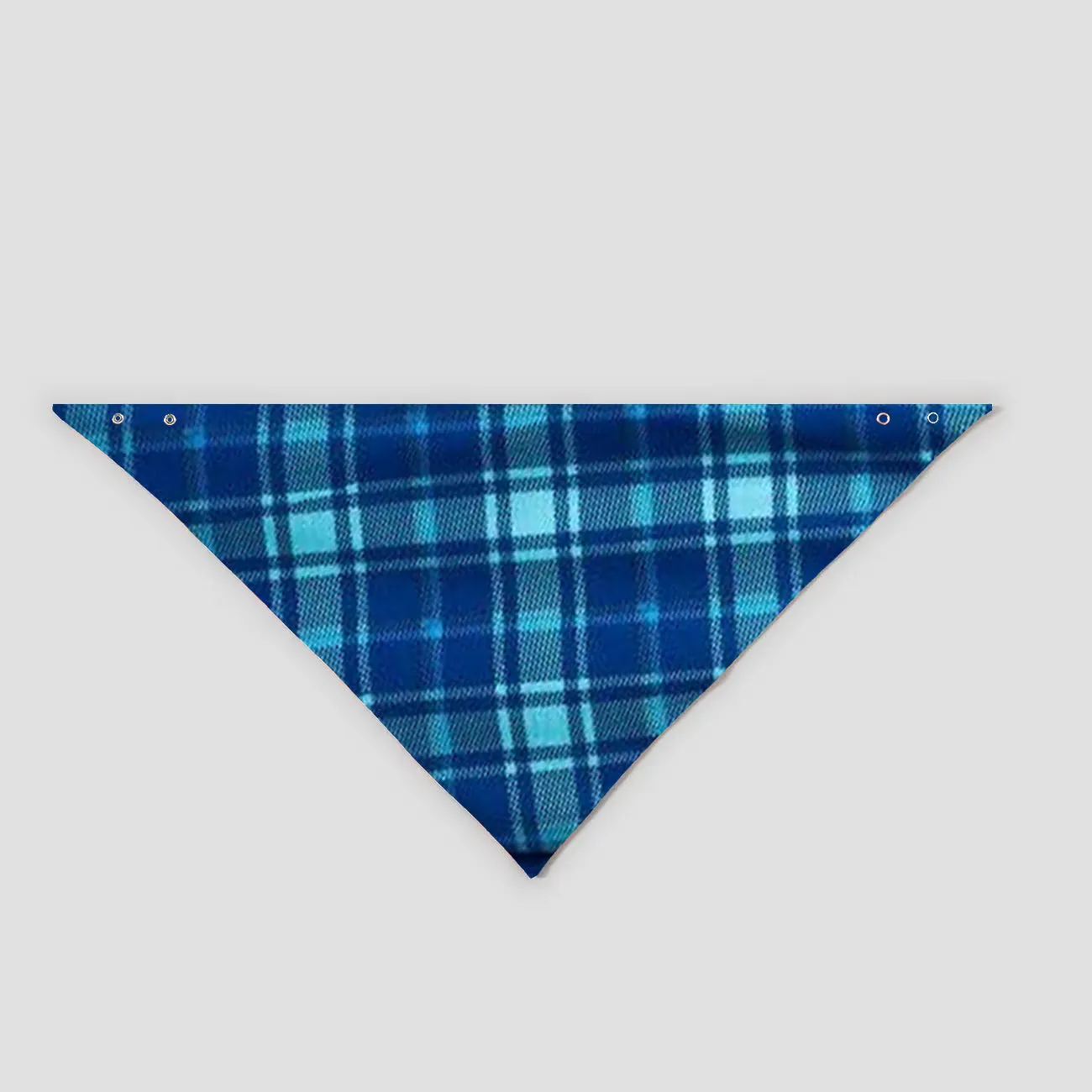 "Dear Santa They are The Naughty Ones" Slogan Printed Blue Plaid Family Matching Pajamas