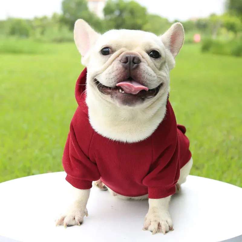 Snug Paws: Puppy Pet Hooded Sweatshirt with Two-Legged Design and Pocket - Keep Your Cat or Dog Cozy and Stylish in Soft Warmth