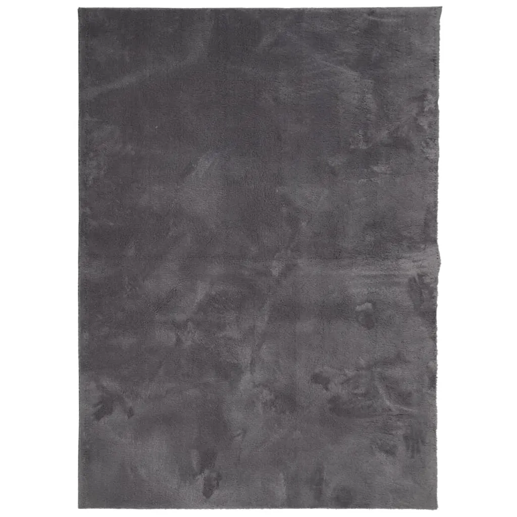 vidaXL HUARTE Anthracite Short Pile Rug - Ultra-Soft, Machine Washable, Non-Slip 200x280 cm - Perfect for Modern Living Spaces